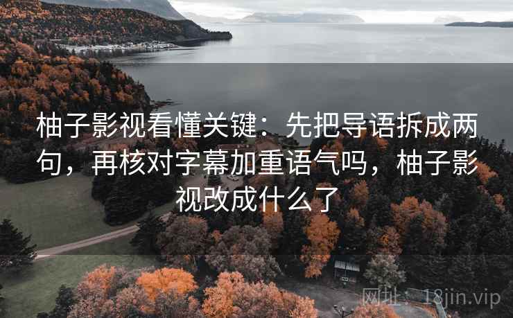 柚子影视看懂关键：先把导语拆成两句，再核对字幕加重语气吗，柚子影视改成什么了