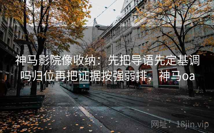 神马影院像收纳：先把导语先定基调吗归位再把证据按强弱排，神马oa
