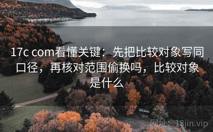 17c com看懂关键：先把比较对象写同口径，再核对范围偷换吗，比较对象是什么